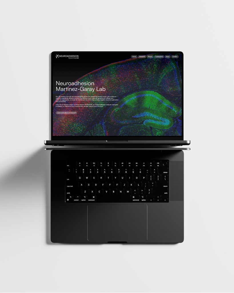 Ordenador portátil abierto con la web del laboratorio